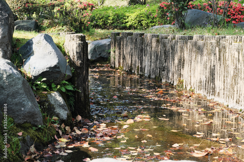 Fototapeta premium 池の水を抜いて綺麗に掃除する