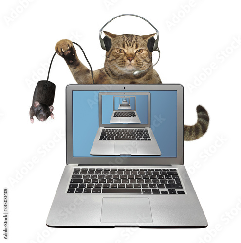 The beige cat in headphones with a black computer mouse is behind a silver laptop. White background. Isolated.