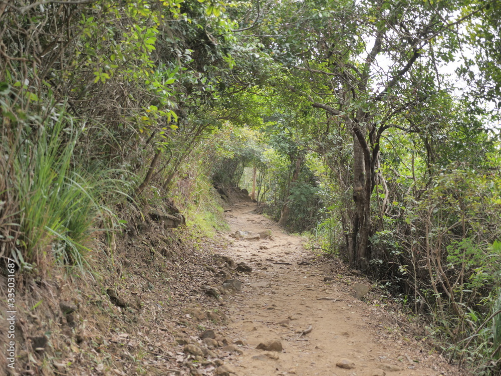 Hong Kong Dragon's Back hiking trail Hong Kong Dragon's Back hiking trail