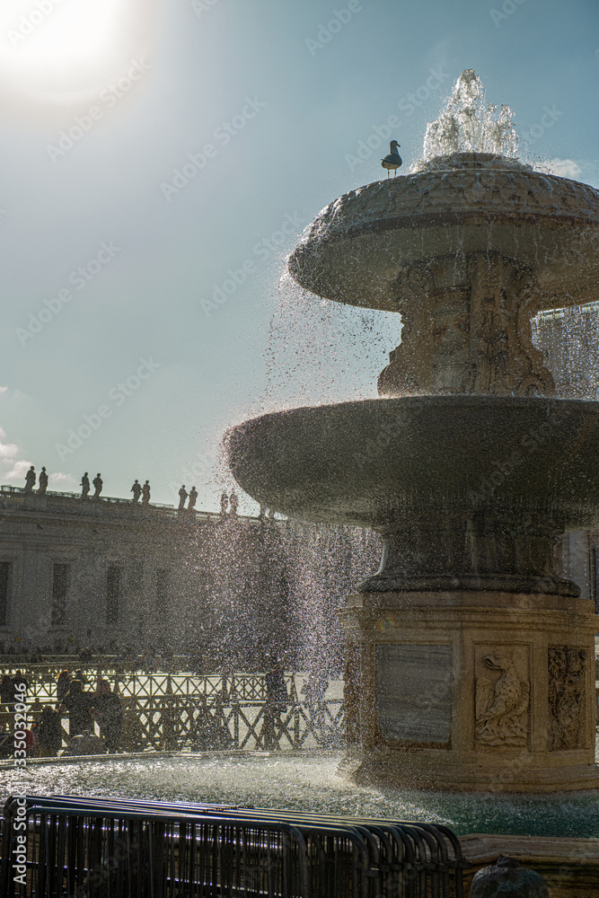 ptak siedzący na fontannie, Plac Świętego Piotra, Watykan, Włochy - obrazy, fototapety, plakaty 