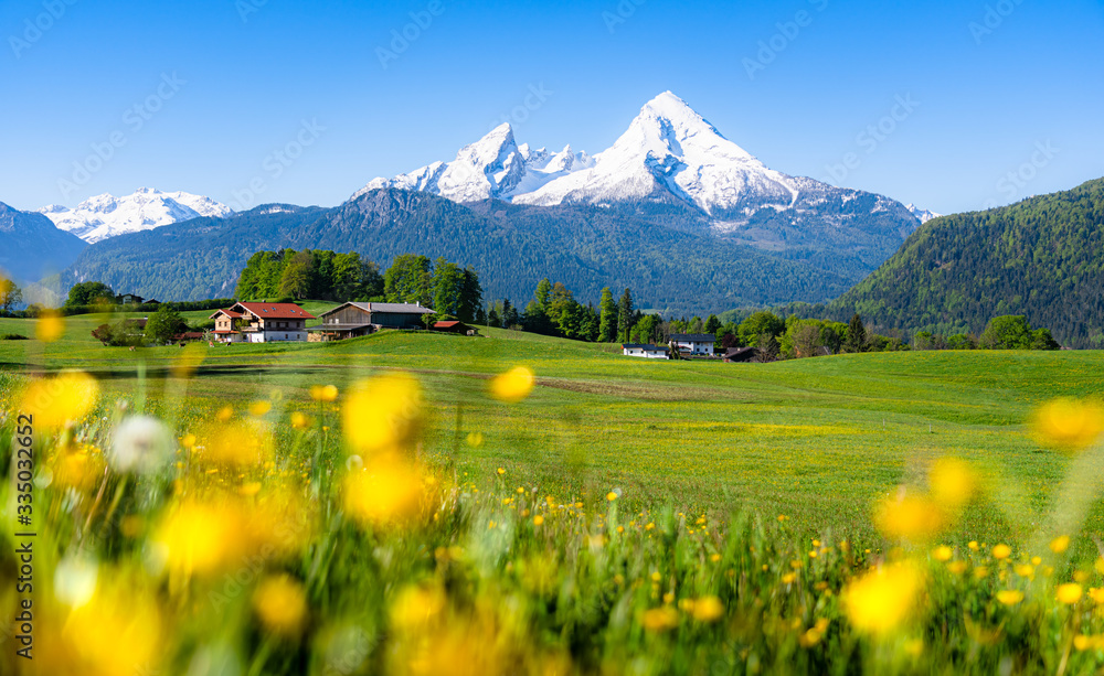 Idyllic landscape in the Alps with blooming meadows in spring