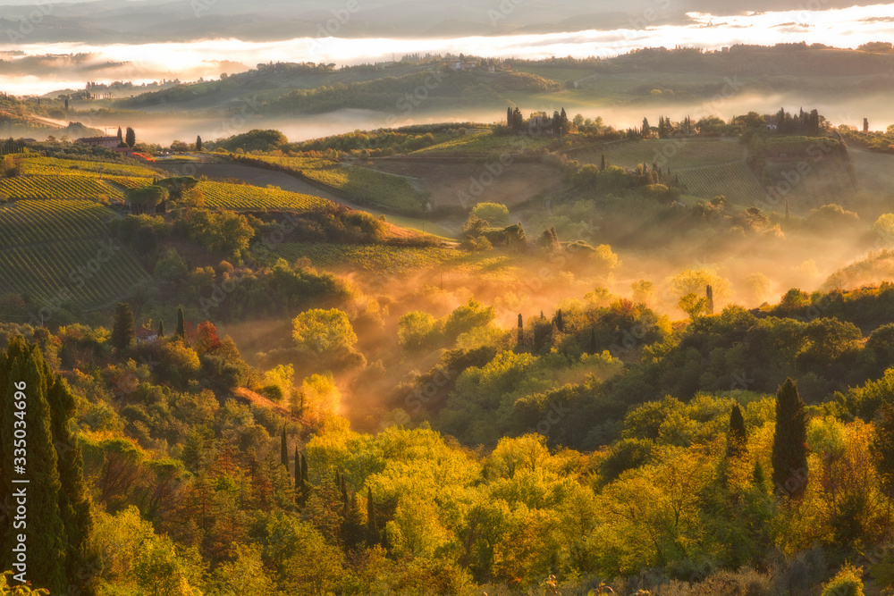Landscape with a morning fog and vineyards in the vicinity of the city of San Gimignano, Tuscany