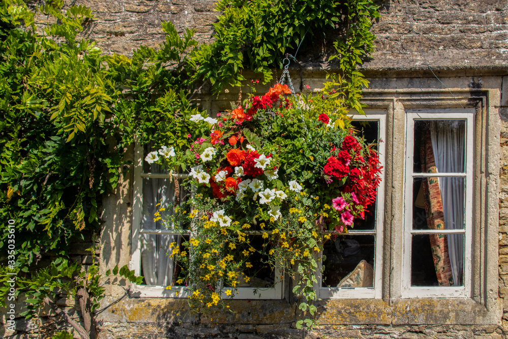 Beautiful hanging flowers outside window of vintage stone house with vines surrounding it
