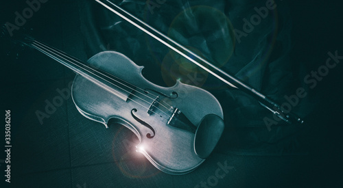 The wooden violin put beside dried flower,on grunge surface background,Lens flare effect,black and white tone,