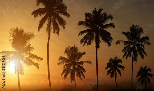 Silhouette of palm trees at sunset background.