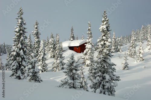 Snpw covered cabin in Norway photo