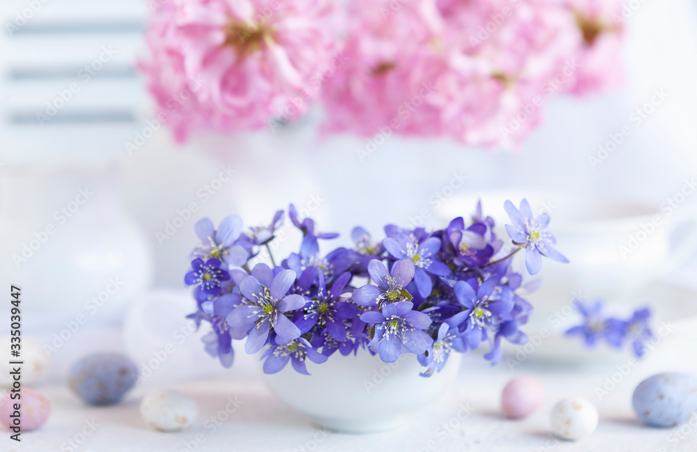Fresh bouquet of delicate spring flowers of the liverwort Hepatica Nobilis in a white vase on a white background Fresh bouquet of delicate spring flowers of the liverwort Hepatica Nobilis in a white vase on a white background