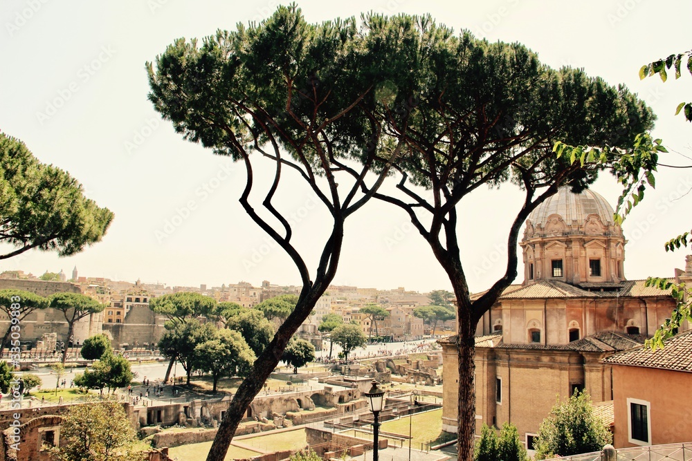 Paisajes de Italia. La bella Roma. Arquitectura y pinos típicos de Italia