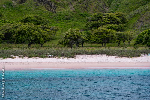 Pink beach on Komodo island boat tour. view from the ocean in Indonesia 
