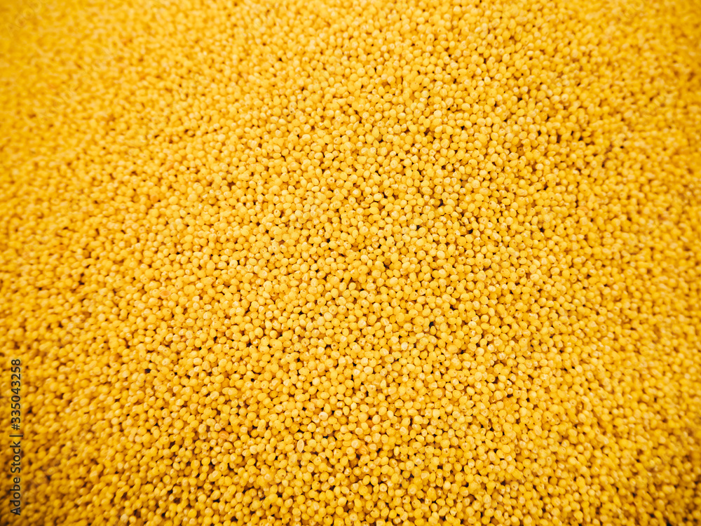 Texture of golden wheat millet millet shot from above. Texture of golden wheat millet millet shot from above.