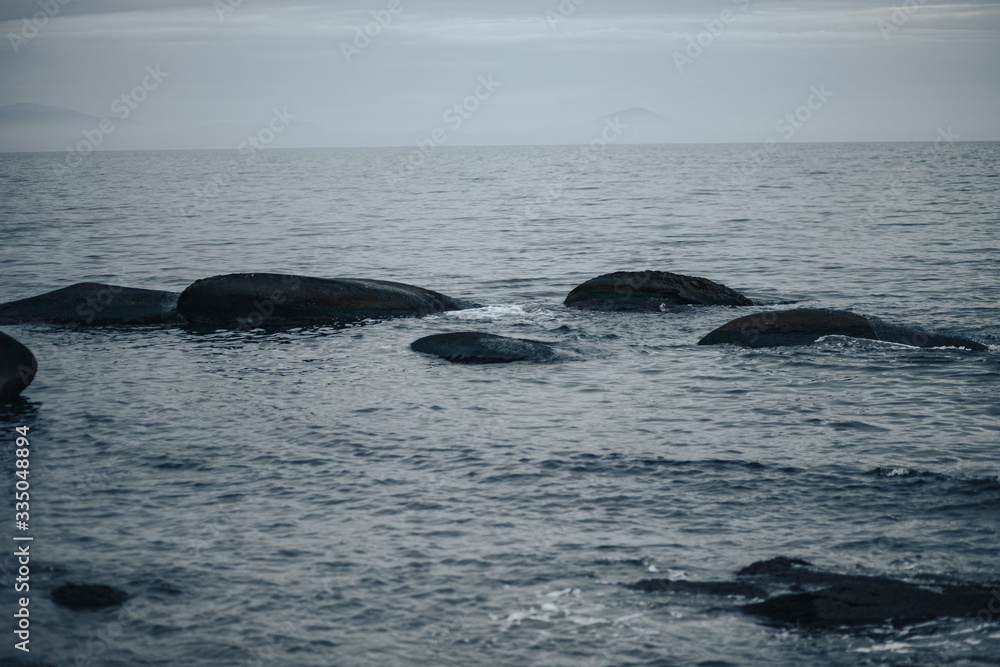 large stones sticking out of the water on the seashore, fog in the background large stones sticking out of the water on the seashore, fog in the background