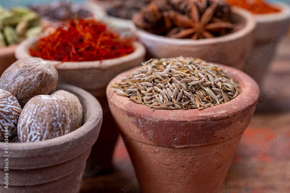 Indian spices collection, dried aromatic cumin seeds and another spices in clay bowls Indian spices collection, dried aromatic cumin seeds and another spices in clay bowls