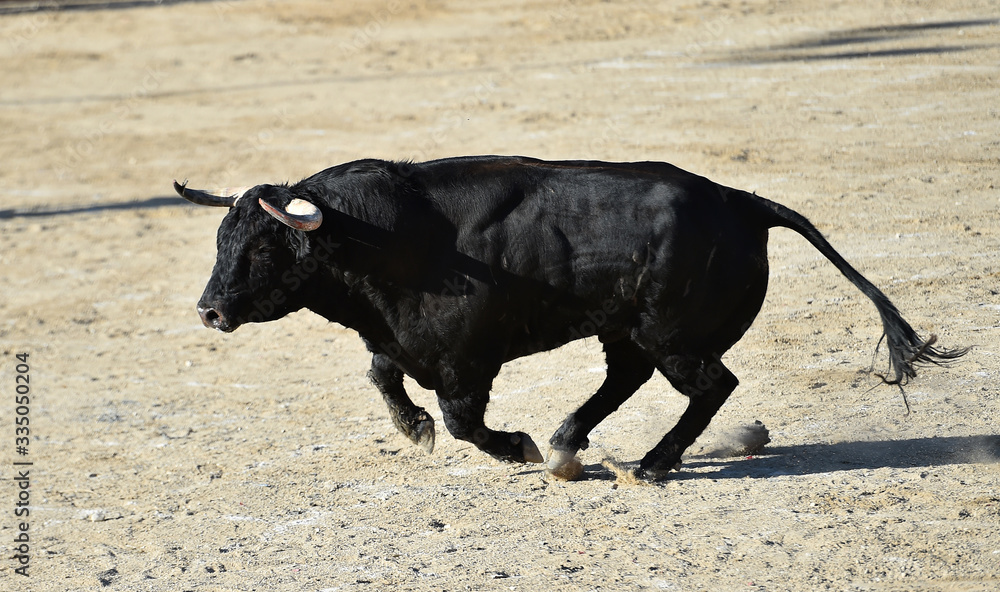 toro español