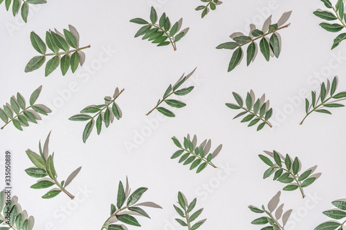 Creative flat lay composition natural branches. Natural sun light lighting and sharp shadows. Realistic aesthetic look pattern. Contemporary style.