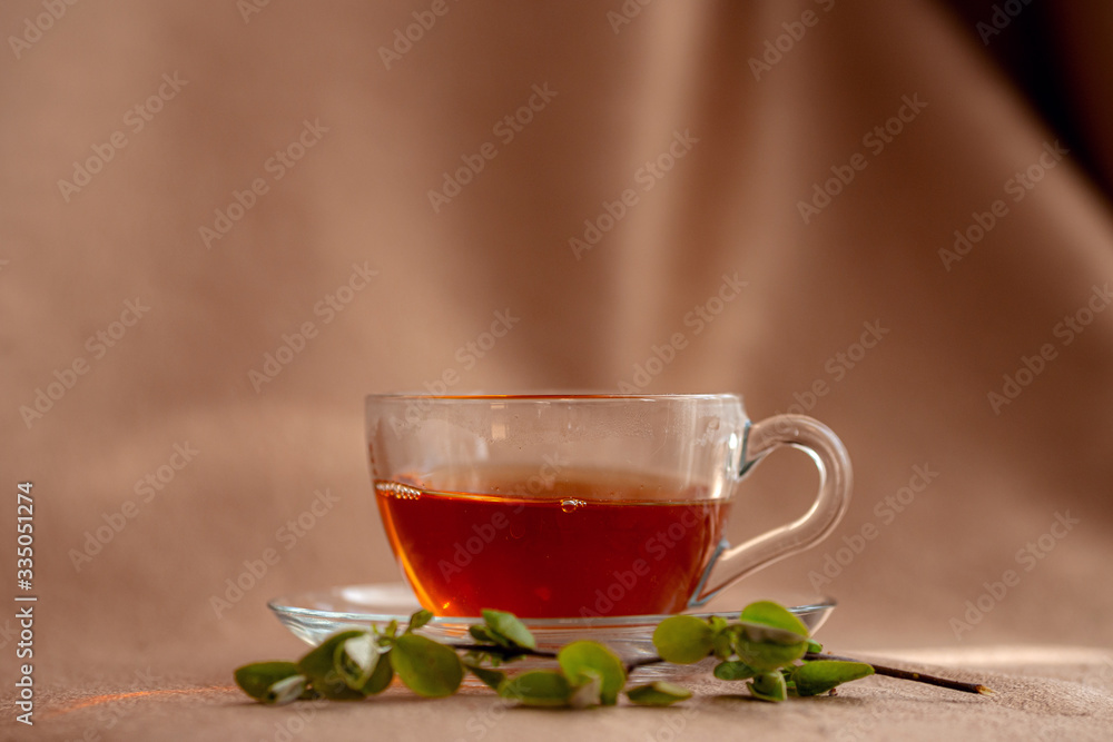 glass cup of tea by the window with green young branches glass cup of tea by the window with green young branches