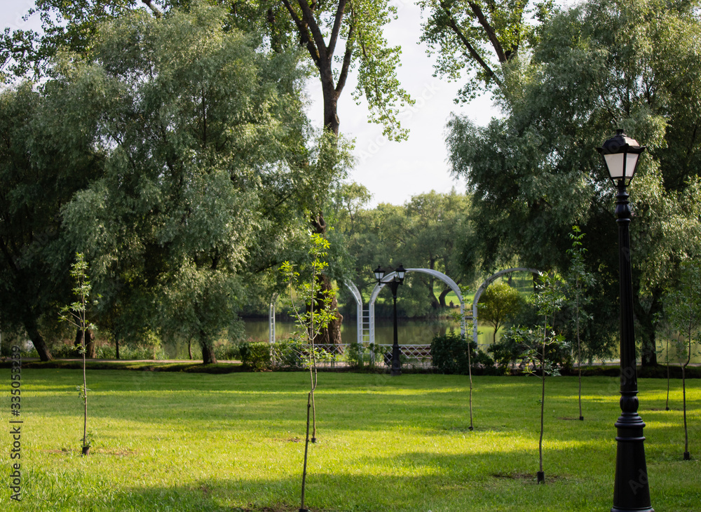 Obraz premium City park on a summer sunny day. Park alley and lanterns along it. City landscape