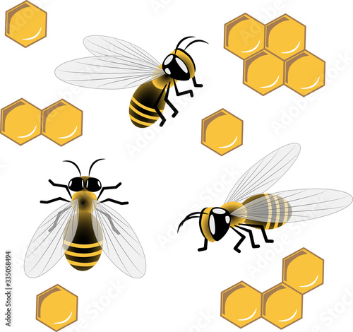 bees and honeycombs vector image