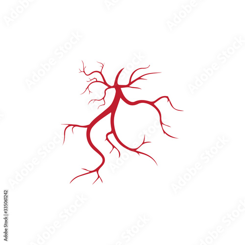 human veins, red blood vessels design and arteries Vector illustration isolated