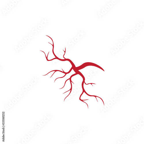 human veins, red blood vessels design and arteries Vector illustration isolated