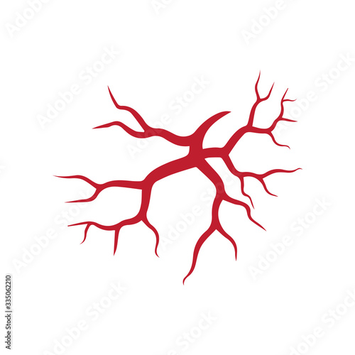 human veins, red blood vessels design and arteries Vector illustration isolated