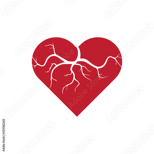 human veins, red blood vessels design and arteries Vector illustration isolated