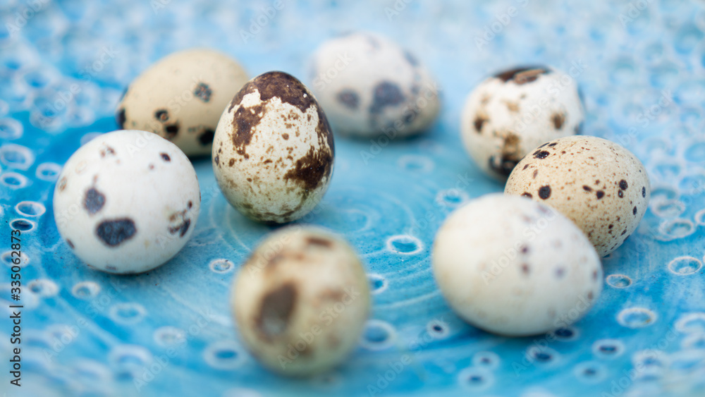 Obraz premium Cute alternative to chicken eggs. Beautiful quail eggs on the stunning blue handmade plate. Background
