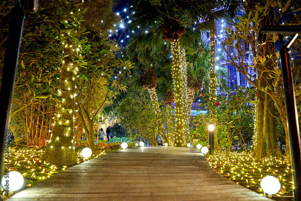 Obraz premium alley decorated with many lights in the park