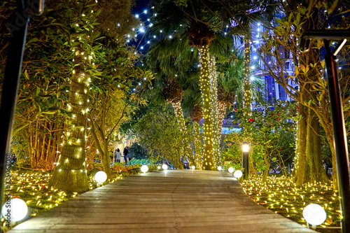 Fototapeta Naklejka Na Ścianę i Meble -  alley decorated with many lights in the park
