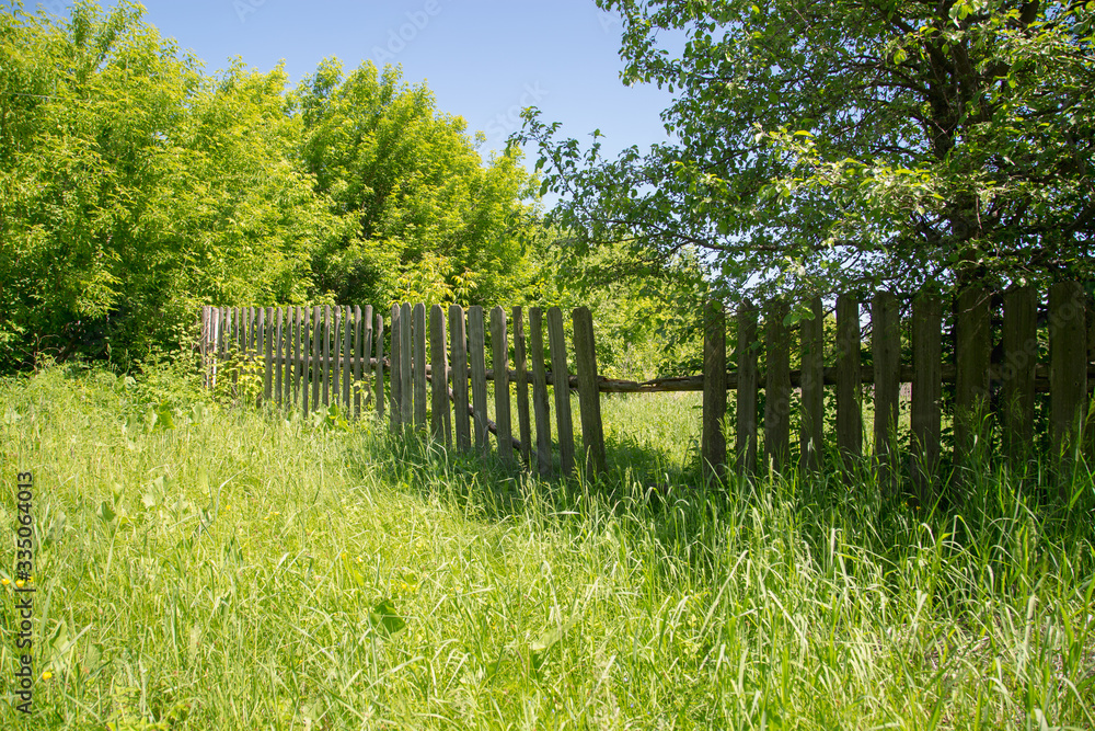 old wooden fence in the village, overgrown with grass and bushes old wooden fence in the village, overgrown with grass and bushes