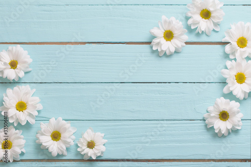 white chrysanthemum on blue wooden background © Siarhei