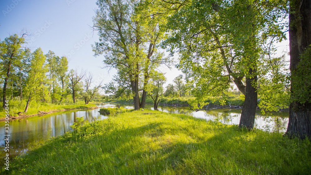 lake and its shores with bushes and trees in the afternoon on a sunny day lake and its shores with bushes and trees in the afternoon on a sunny day