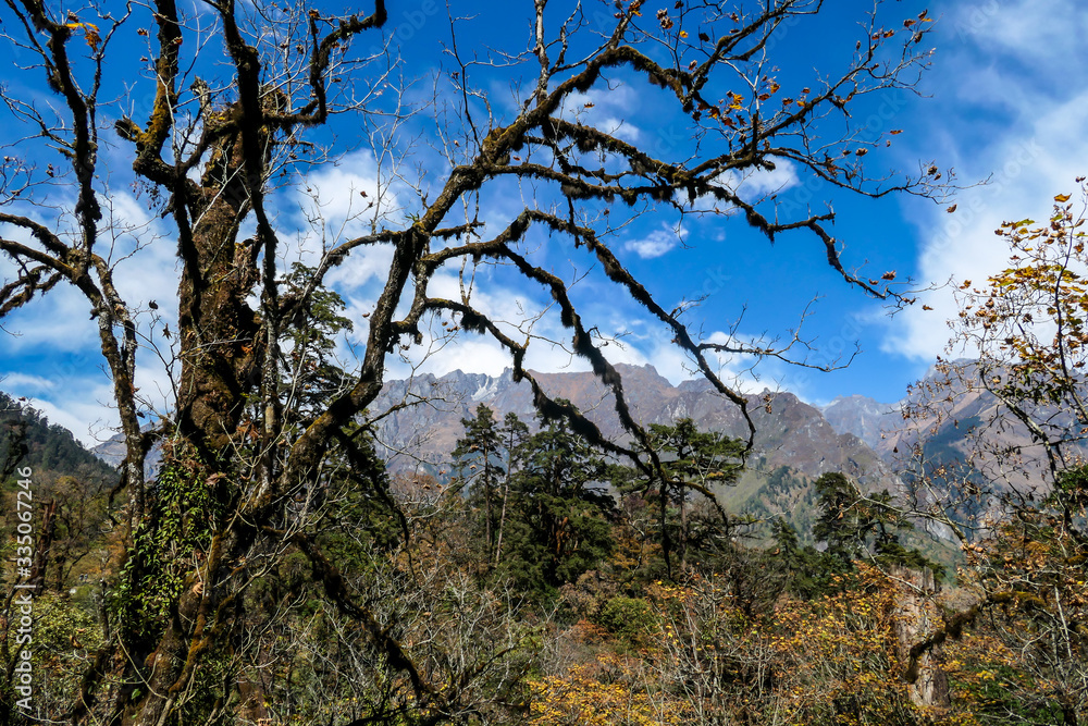 Endless view on Himalayan chain from Chame, Annapurna Circuit Trek in Nepal. The mountains are shrouded in fog. There is a stream flowing at the bottom of the valley. A bit of overcast. Peace of mind Endless view on Himalayan chain from Chame, Annapurna Circuit Trek in Nepal. The mountains are shrouded in fog. There is a stream flowing at the bottom of the valley. A bit of overcast. Peace of mind
