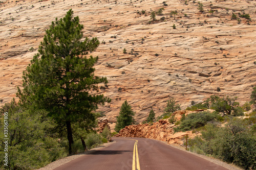Desert Road