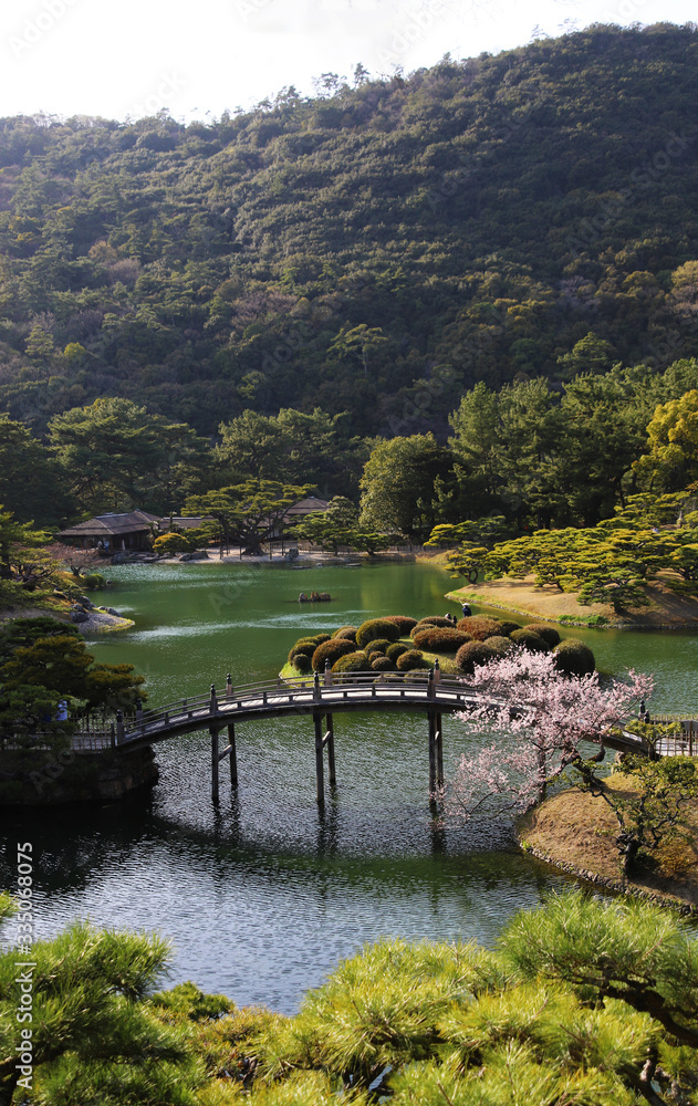 Fototapeta premium 初春の栗林公園