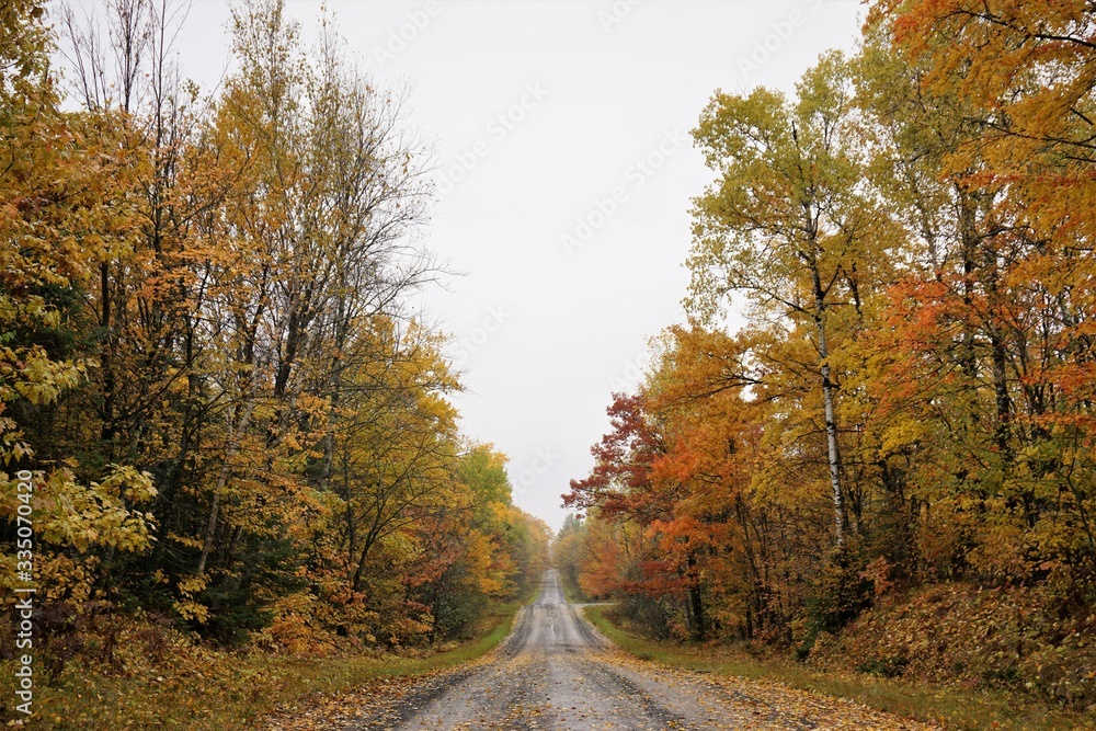 Country Roads in the Autumn