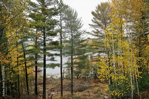 Fall At The Lake in The North Woods