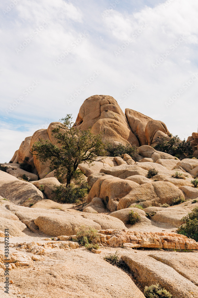 Desert Landscape Desert Landscape