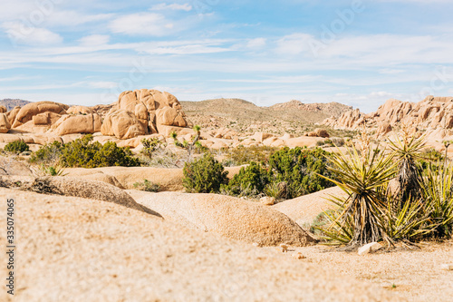 Desert Landscape