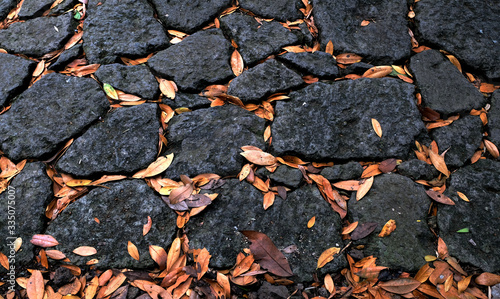 A stony path in the park with golden fallen leaves.