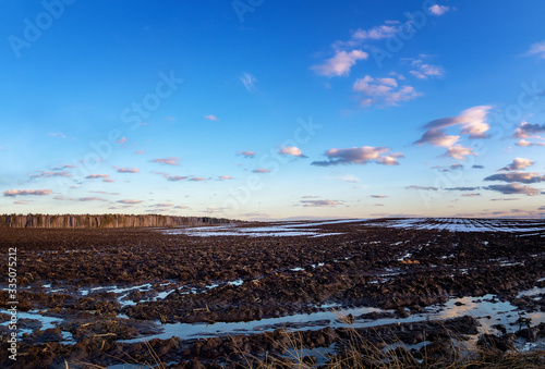 the spring of the Ural landscape with field and forest, Russia