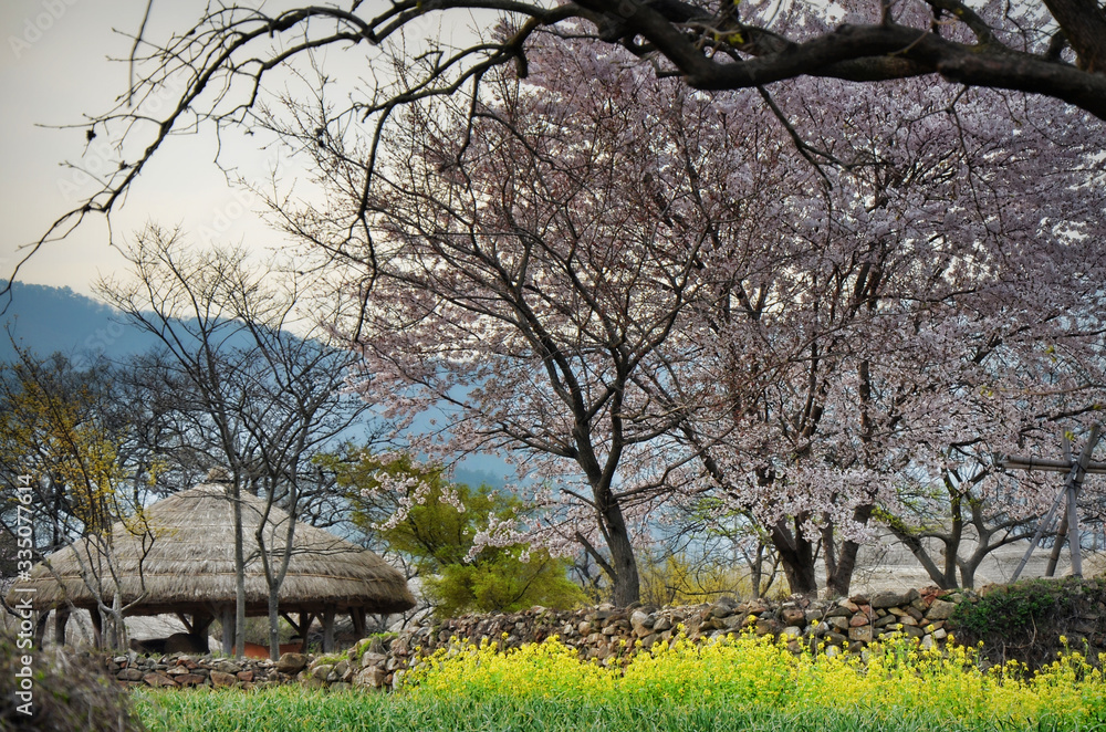 Naganeupseong Folk Village is located in Nagan-myeon, Suncheon, Jeollanam-do, South Korea. 04-07-2017 Naganeupseong Folk Village is located in Nagan-myeon, Suncheon, Jeollanam-do, South Korea. 04-07-2017