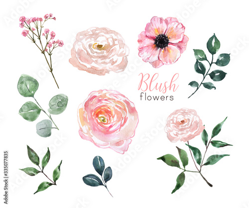 Watercolor floral set. Cute blush pink garden flowers, green leaf, foliage, i...