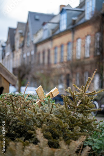 Expired christmas trees
