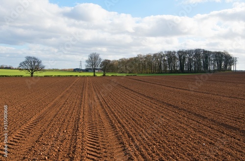 Tablou pe pânză Ploughed field in spring, during the Covid 19 era.