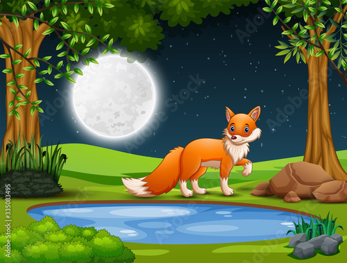 A fox looking for prey at night