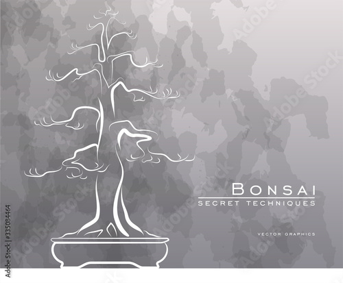 Bonsai tree in vector.