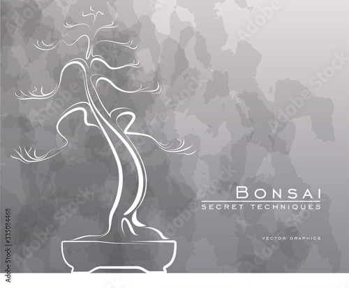 Bonsai tree in vector.