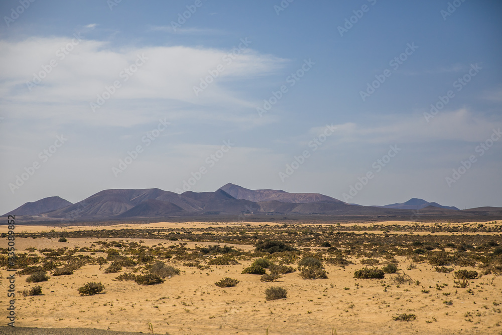 desert landscape with palm trees desert landscape with palm trees