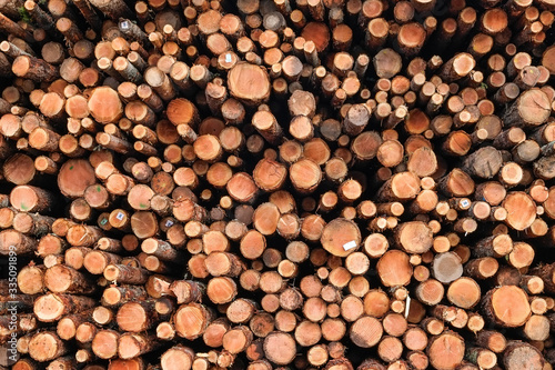 Large pile of stacked logs