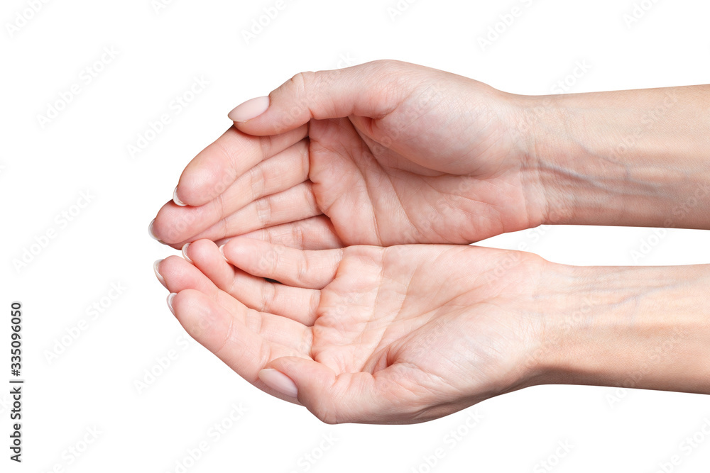 Open female hands put together, isolated on white background Open female hands put together, isolated on white background